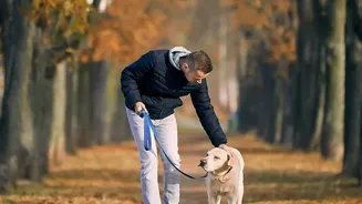 Monsoon pet care: Paws and tick safety