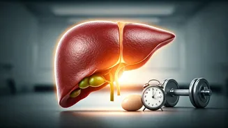 Related Stories banner