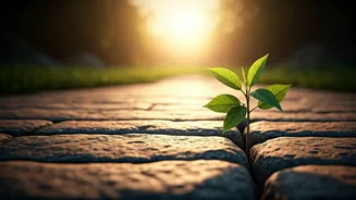 Plato's Wisdom: The Profound Power of Kindness for Young Minds