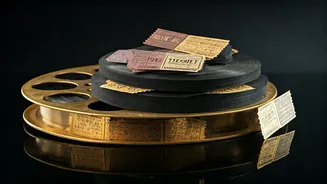 Bollywood's Box Office Buzz: Analyzing Trends and Top Performers