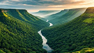 Western Ghats Give Couples The Greenest Escape