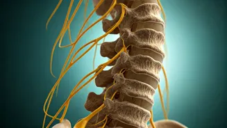 Related Stories banner