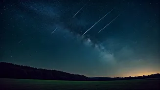 Related Stories banner