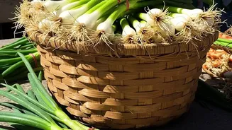 Vegetable Freshness Guide: What To Check Before Bringing Produce Home