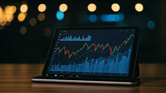 India's Funding Scene: Recent Investments and Trends