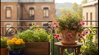 Small-Space Gardening Begins With Light, Drainage And Realistic Expectations