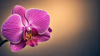 40 के पार महिलाओं का सेक्सुअल जागृति: अपनी इच्छाओं को व्यक्त करने का साहस