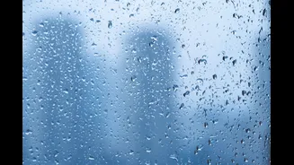 Rain Likely in Chandigarh with Cooler Temperatures