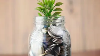 Insurance And Emergency Cash Are Emerging As The First Two Layers Of Many Young Investors’ Plans