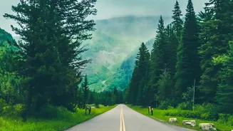 Chikmagalur Monsoon Road Trips: Top Misty Routes And Eco-Friendly Estates
