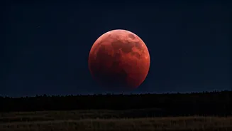 Related Stories banner