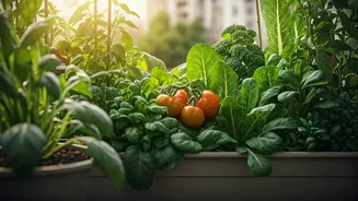 Container Veggies Make Apartment Life Greener