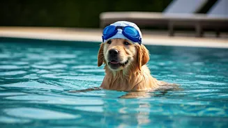 Register Your Puppies For Luxury Resort Pool Dates Tonight
