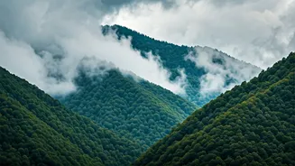 North India's Misty Mountains Are Pure Monsoon Magic