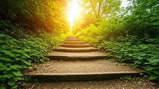 Charting Your Own Path: Success Through Dedication