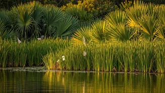 India's Untamed Beauty: 10 Parks to Explore