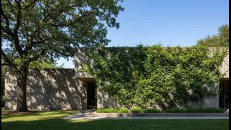 Concrete Homes Need Living Shade This Season