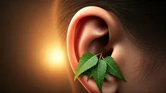 Ayurvedic Wisdom: Understanding Ear Issues and Natural Home Remedies for Relief