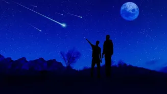 The Meteor Shower Peaks Overnight From 12 to 13 August
