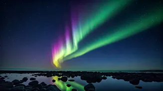 Related Stories banner