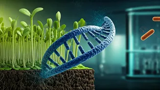 Biotechnology: Fueling the Future of Food for Humans and Animals in India