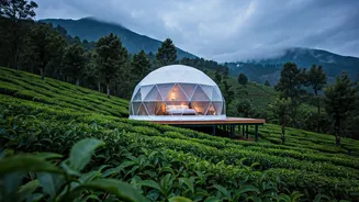 Munnar Ultra Private Glamping Domes Experience Surge In Bookings