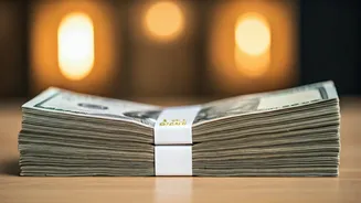 Indian Influencer's Brand Collaboration Earnings: A Look