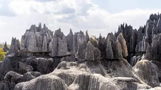 Discover Madagascar through its stunning canyons