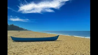 Discover the Best Beaches in India for Winter Travel