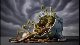 El Niño Makes Budgeting Less Predictable Now
