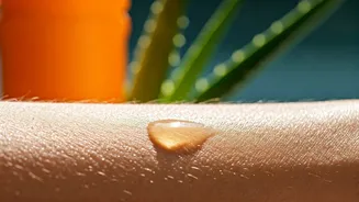 Beat the Summer Itch: Soothe Your Skin and Fortify its Defenses