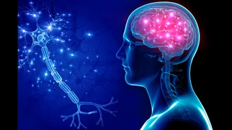 Cientistas observam dano do Alzheimer em tempo real pela primeira vez