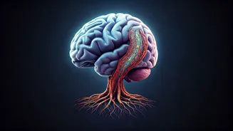 Unraveling the Gut-Brain Connection: How Your Digestion Impacts Mental Clarity