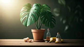 5 Kitchen Wonders: Boost Your Houseplant Health Naturally!