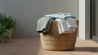 Shared Flats Need Clear Rules for Removing Dry Clothes Promptly