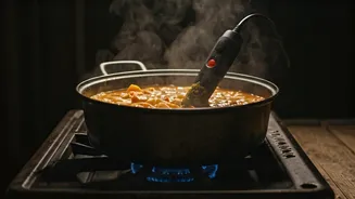 Ingenious or Insane? Man Cooks Curry with Immersion Rod Amidst India's LPG Crisis