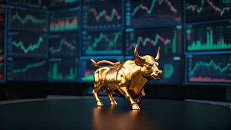 India's Economic Landscape: Shifts in Investment & Market Trends