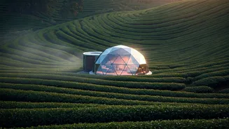 Tea Garden Eco Domes Are The Hottest Romantic Escape