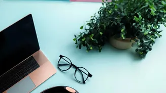From Notes To Projects, Digital Second Brains Are Transforming Personal Productivity