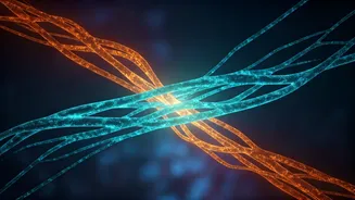 The Science of Staying: Why Ending Long-Term Relationships is So Tough