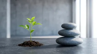 Emergency Savings Vs SIP: Understanding The Purpose Of Each