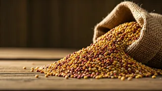 Related Stories banner