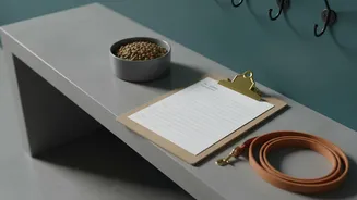 A Clear Plan For A Pet-Sitter Handover Sheet Connects Feeding Instructions And Daily Routines