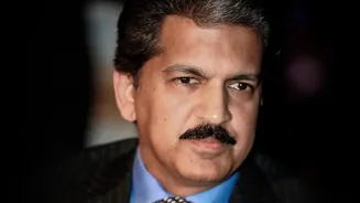 How First Time Indian Investors Can Navigate Equity Markets Safely With Disciplined Long Term Strategies