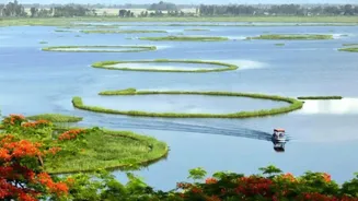 India Has A Floating Forest Safari And It Looks Straight Out Of A Fantasy Film!