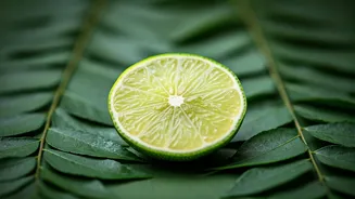Unlock Culinary Magic: The Surprising Power of Curry Leaves and Lime