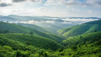 Why Workations In Meghalaya Are The Newest Rainy Season Remote Work Trend