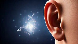 Unmasking Insulin Resistance: Visible Signs, Hidden Truths, and How to Confirm It