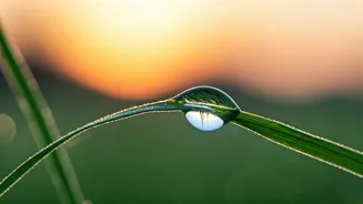 Embrace Your Mornings: Powerful 5 AM Affirmations for a Calmer, More Present You