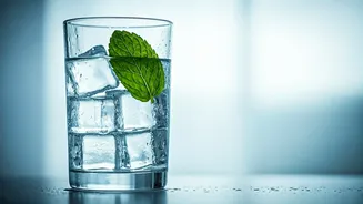 Beat Summer Dry Mouth: Expert Tips for a Moist and Healthy Oral Environment